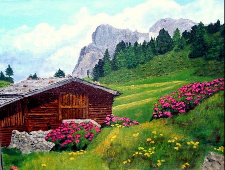 Dolomiti - Alpe di Siusi